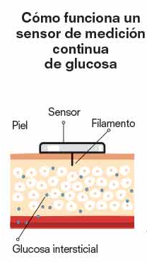 sensores-flash-glucosa-funcionamiento